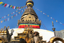 Pilgrimage Package Tours for Nepal