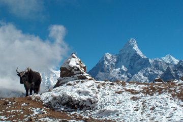 Everest High Passes trekking