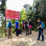 Hiking to phulchowki - Nature Trail, Travels & Tours, Trekking & Expedition