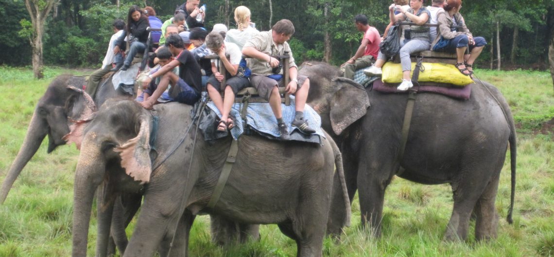 Chitwan Places to visit in Nepal